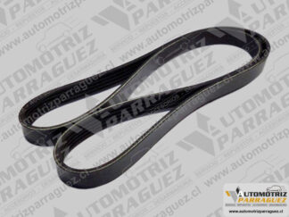 Correa accesorios Kangoo 2, Megane 2, Scenic 2