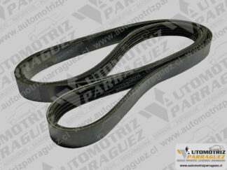 Correa accesorios Nissan Platina