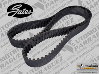 Correa distribucion Clio 2, Laguna, Megane, Scenic, Scenic RX4 (1.8, 2.0) (Gates)